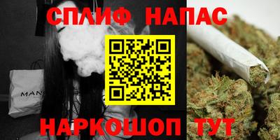 сатива Бугуруслан