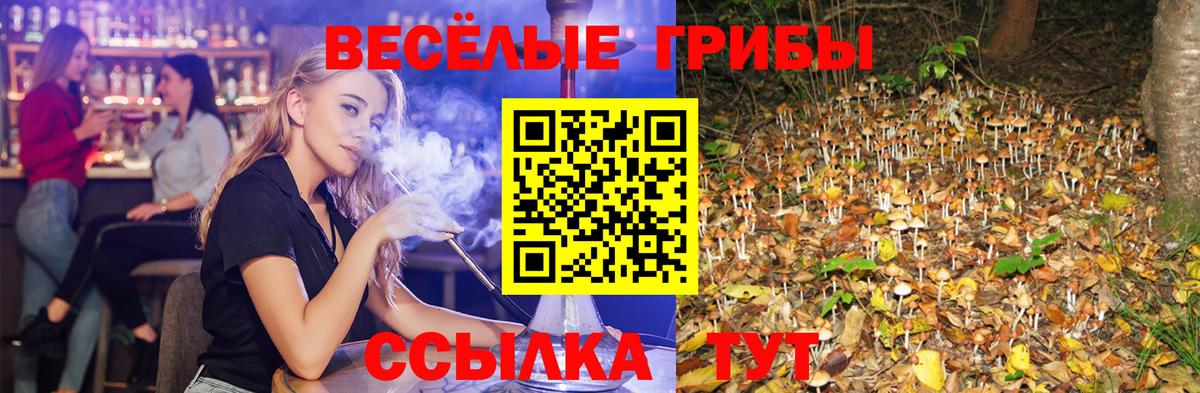 Галлюциногенные грибы GOLDEN TEACHER Нарткала