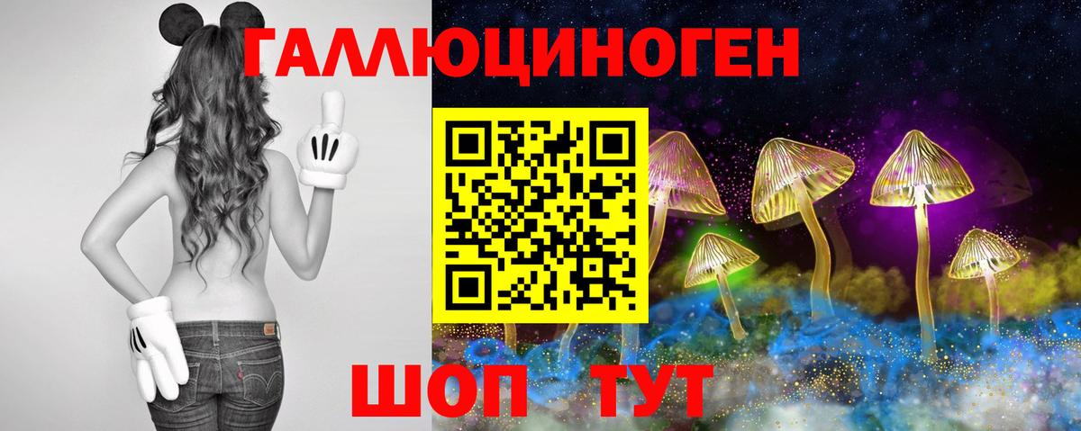Галлюциногенные грибы Psilocybe  Вход с VPN  как найти закладки  Нарткала  Галлюциногенные грибы прущие грибы 
